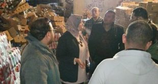 ضبط 9 أطنان مواد غذائية منتهية الصلاحية خلال حملة تفتيشية فى المنوفية