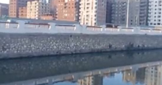 طقس كفر الشيخ اليوم الخميس 19-12-2024 .. بارد نهارا شديد البرودة ليلا