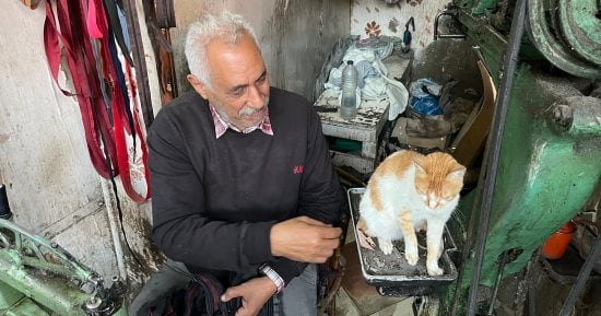 عم رفعت و"القط".. حكاية حب ورحمة فى محل الأحذية الصغير