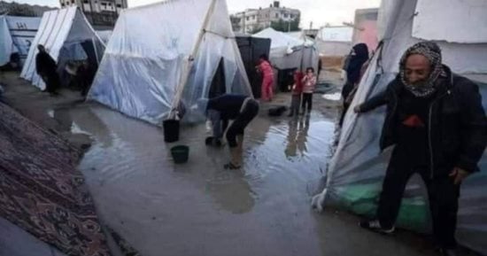 فلسطين ترحب بإعلان ايرلندا التدخل فى قضية الإبادة الجماعية ضد إسرائيل