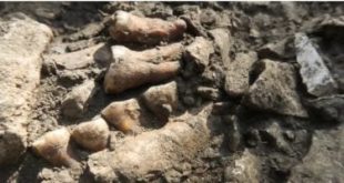 كيف لعبت التكنولوجيا دورًا في الاكتشافات الأثرية عام 2024.. إليك أهم القصص