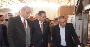 محافظ الغربية ولجنة الزراعة والري بمجلس النواب يتفقدون قرية شنراق