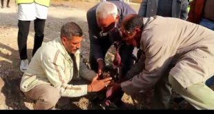 مدارس إدارة دشنا بمحافظة قنا تتزين بالأشجار ضمن مبادرة "بداية جديدة".. صور