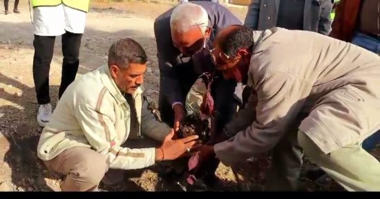 مدارس إدارة دشنا بمحافظة قنا تتزين بالأشجار ضمن مبادرة "بداية جديدة".. صور