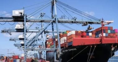 ميناء دمياط يشهد تصدير 39 ألف طن بضائع ويستقبل 7772 طن قمح