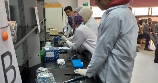 ورشة عمل حول تقنية الكشف عن طفرات الأورام السرطانية بجامعة القناة