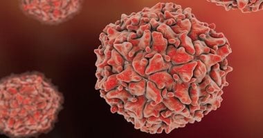 وزير الصحة الكونغولى: الفيروس المجهول فى بانزى فيروس إنفلونزا "إيه إتش 1 إن 1"